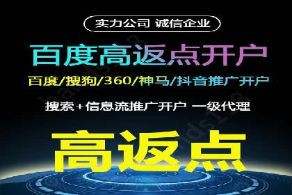 百度广告投放策略优化及成功案例解析